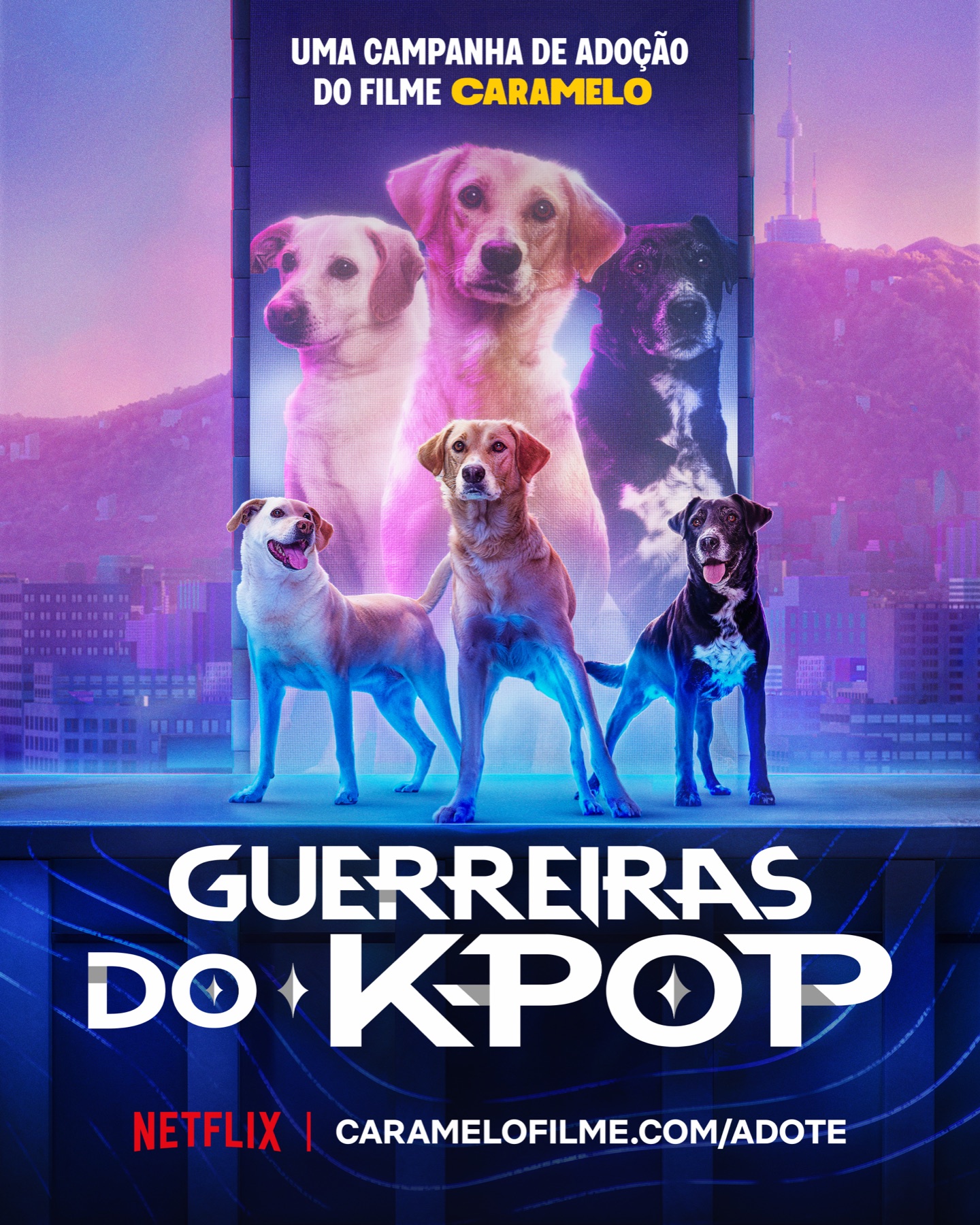 Netflix replaced its stars with strays. Brazil adopted them. — poster 2
